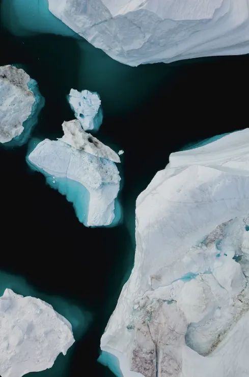 Climatecoin screenshot 3